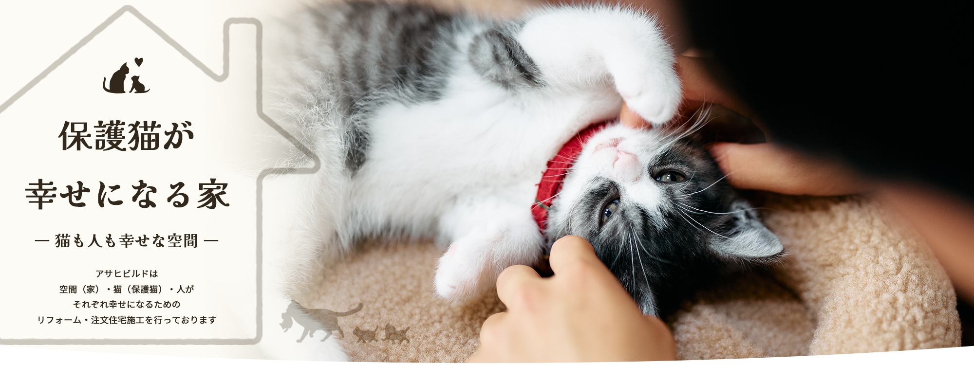 保護猫が幸せになる家　ー猫も人も幸せな空間ー